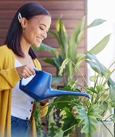 Sustainable Landscape Design